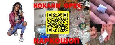 гашик Будённовск