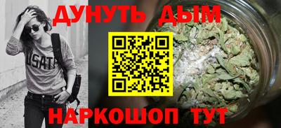 гашик Будённовск