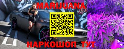 гашик Будённовск