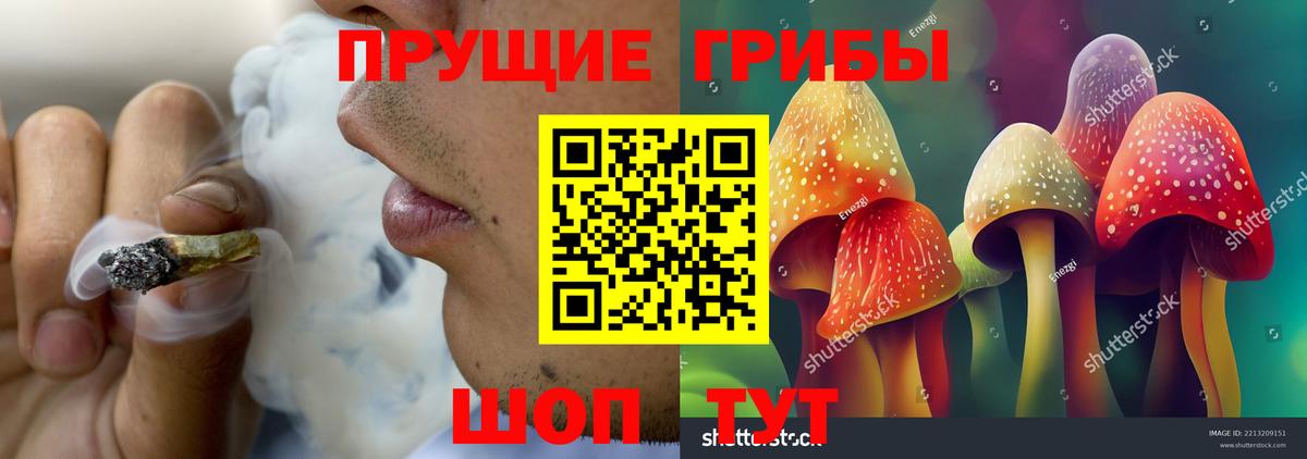 Псилоцибиновые грибы прущие грибы Сальск